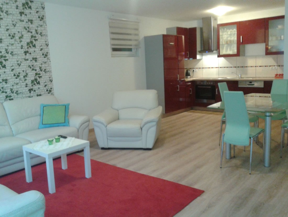 Wohnküche mit Couch, Esstisch und Küche